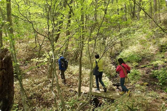 Image: Nasu Heisei no Mori